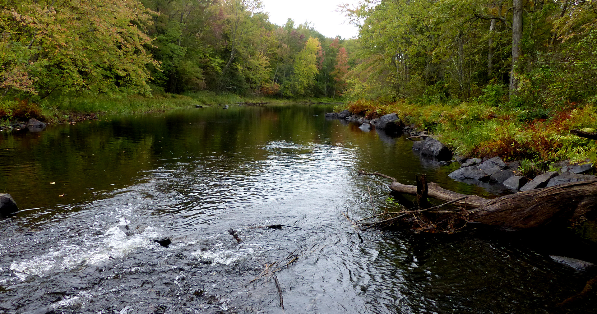 P1050029 Salmon river Lee1920