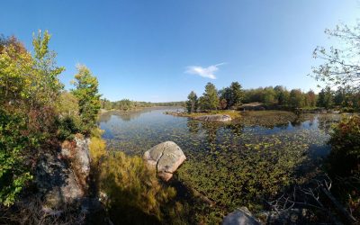 Local land donors help the Ecological Gifts Program reach $1 billion