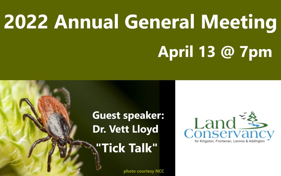 2022 Annual General Meeting: April 13