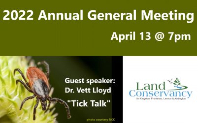 2022 Annual General Meeting: April 13