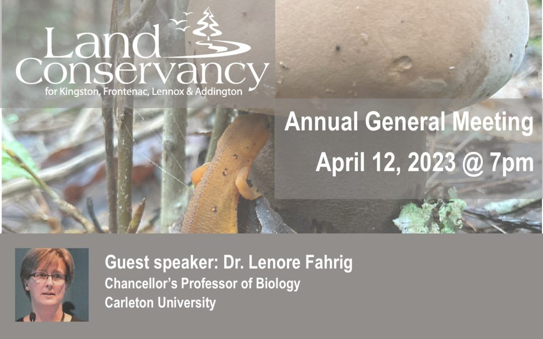 Annual General Meeting: April 12, 2023