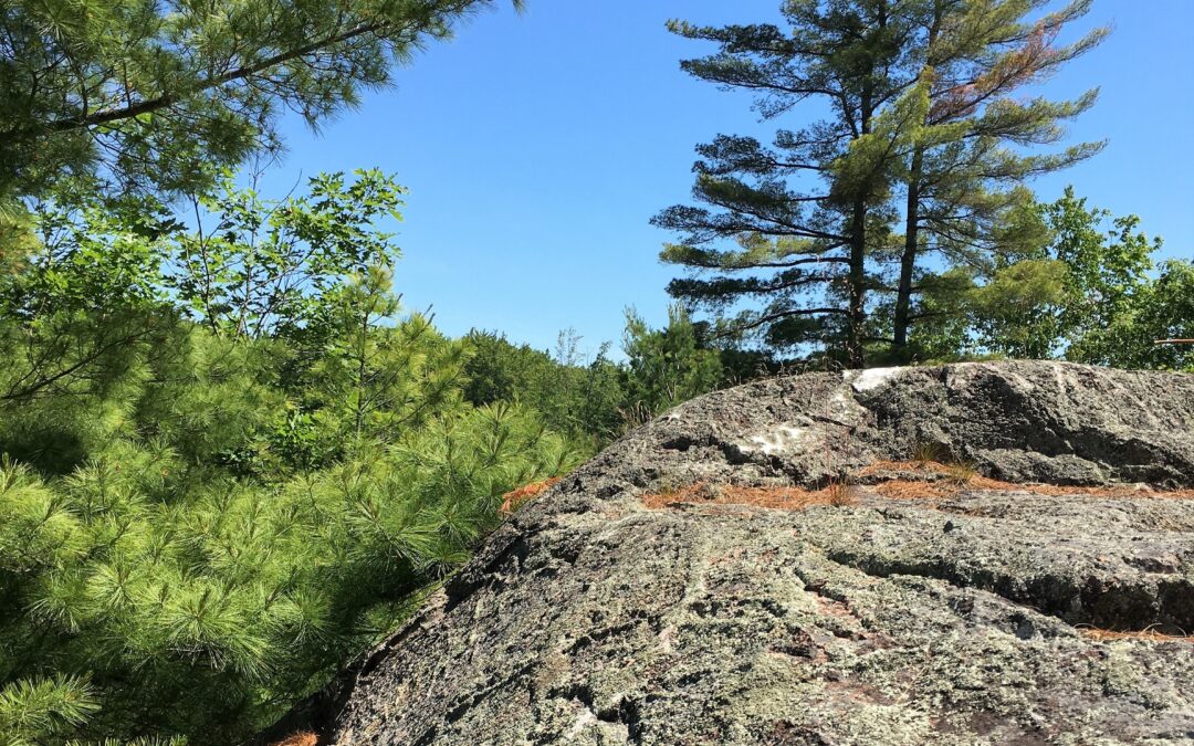 Bedrock of Life – The Geology of our Region: March 30, 2025