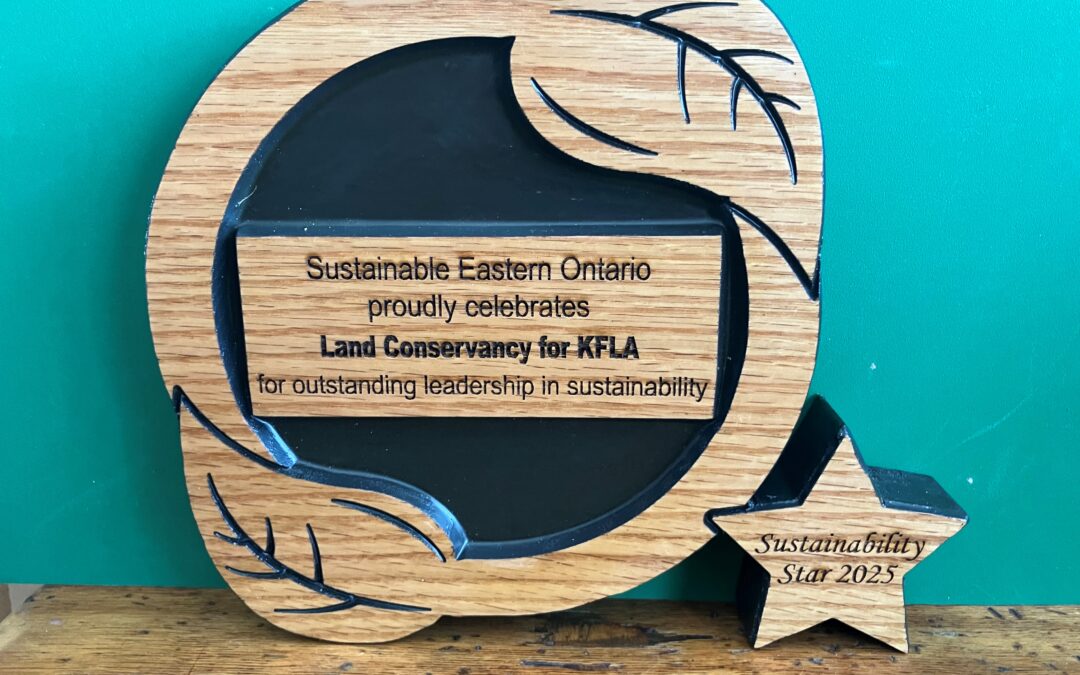 Sustainability Star Award